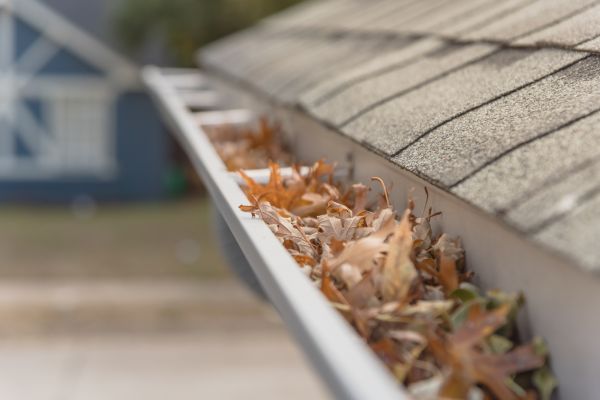 Leaf Barrier Installation in Lenoir